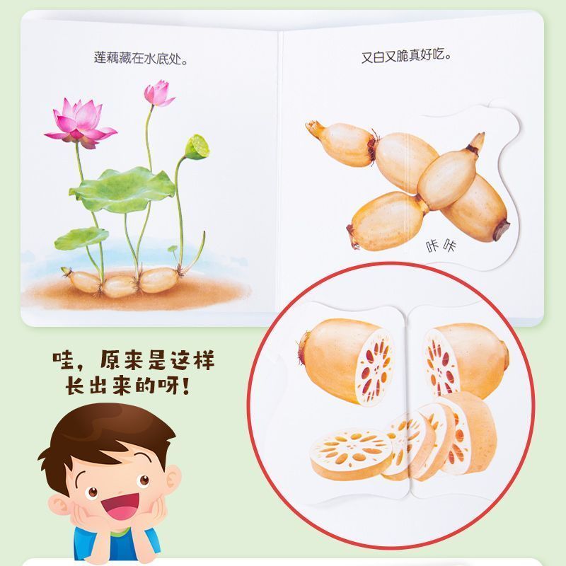 Flipbook per l'educazione alim - Baby Food Year Old recensione e prezzo