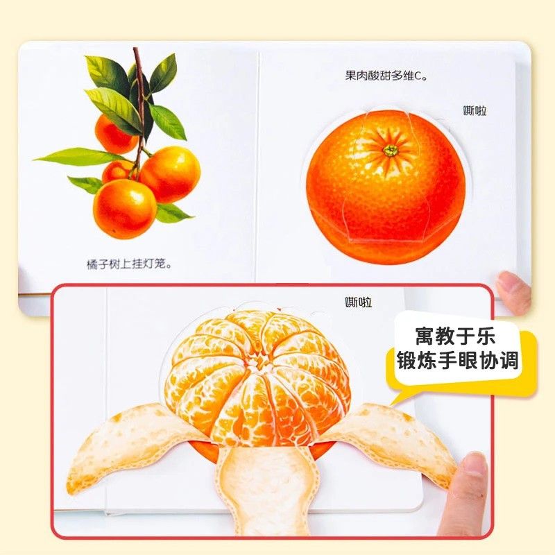 Flipbook per l'educazione alim - Baby Food Year Old recensione e prezzo